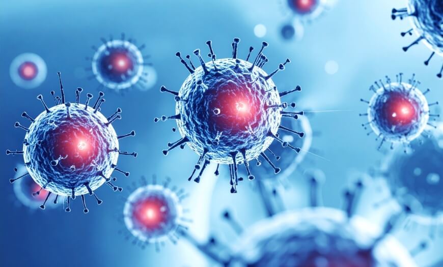 Entenda mais sobre o vírus Nipah, a doença que vem causando preocupação mundial