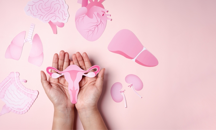 HPV e câncer de colo do útero: por que a prevenção e o diagnóstico precoce são essenciais para a saúde da mulher